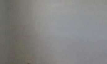 Imagem 7: Apartamento à venda em Aricanduva com 50 m², 2 quartos, 1 vaga