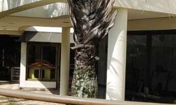 Imagem 3: Apartamento à venda em Bosque da Saúde com 134 m², 3 quartos, 3 suítes, 3 vagas