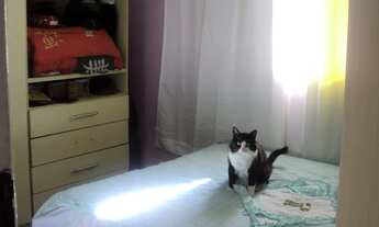 Imagem 3: Apartamento à venda em Cidade Líder com 53 m², 3 quartos, 1 vaga