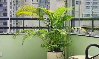 Imagem 6: Apartamento à venda em Saúde com 102 m², 2 quartos, 1 suíte, 2 vagas