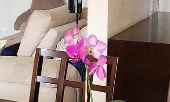 Imagem: Apartamento à venda em Liberdade com 65