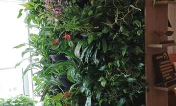 Imagem 4: Apartamento à venda em Cursino com 56 m², 2 quartos, 1 suíte, 1 vaga