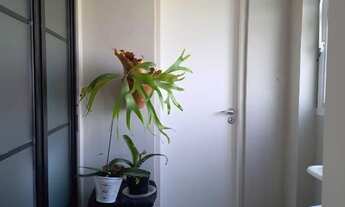 Imagem: Apartamento à venda em Santana com 74 m²