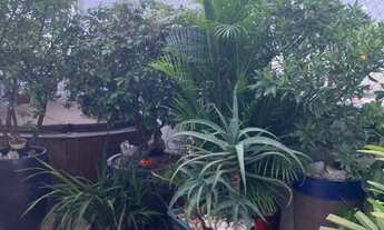 Imagem 3: Apartamento à venda em Bosque da Saúde com 90 m², 2 quartos, 1 suíte, 1 vaga