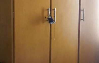 Imagem 4: Apartamento à venda em Vila Maria com 67 m², 3 quartos, 4 vagas