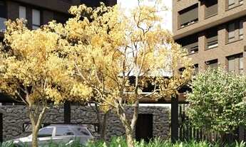 Imagem 2: APARTAMENTO em São Paulo - SP, Ibirapuera