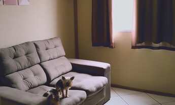 Imagem 2: Apartamento à venda em Vila Sônia com 55 m², 3 quartos, 1 vaga