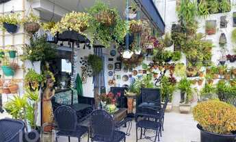 Imagem: Apartamento à venda em Vila Sônia com