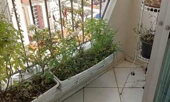 Imagem 4: Apartamento à venda em Bosque da Saúde com 90 m², 3 quartos, 2 vagas