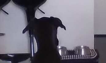 Imagem: Apartamento à venda em Santana com 50 m²