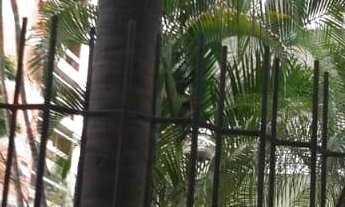 Imagem 4: Apartamento no Edificio MAISON DU SOLEIL