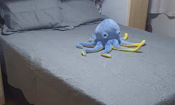 Imagem 7: Apartamento à venda em Ermelino Matarazzo com 50 m², 3 quartos, 1 vaga