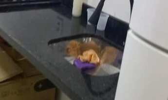 Imagem 7: Apartamento à venda em Belém com 29 m², 1 quarto