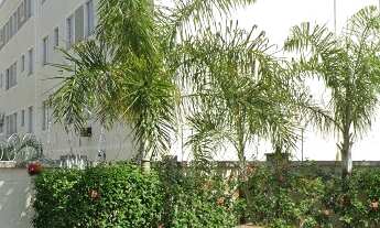 Imagem: APARTAMENTO RESIDENCIAL em ARAÇATUBA