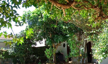 Imagem: Imperdível Casa com 3 suítes no Jardim