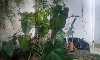 Imagem 7: Vila Brasílio Machado , J. Negrão Imóveis