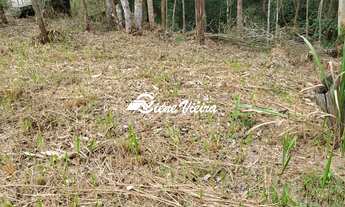 Imagem: TERRENO RESIDENCIAL em SANTA ISABEL - SP