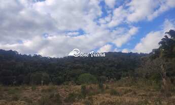 Imagem 5: TERRENO RURAL em SENADOR JOSÉ BENTO - MG, JOSE BENTO