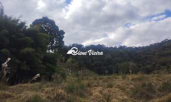 Imagem 6: TERRENO RURAL em SENADOR JOSÉ BENTO - MG, JOSE BENTO