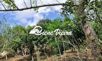 Imagem 4: TERRENO RESIDENCIAL em NATIVIDADE DA SERRA - SP, TERRENO PÉ NA AGUA