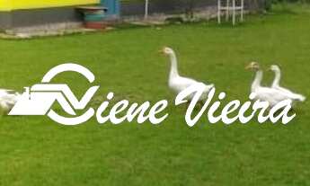 Imagem: CHACARA RESIDENCIAL em NAZARÉ PAULISTA