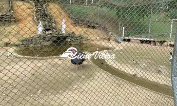 Imagem 6: HARAS RESIDENCIAL em SANTA ISABEL - SP, OURO FINO