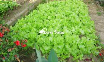 Imagem 7: CHACARA RESIDENCIAL em SANTA ISABEL - SP, CACHOEIRA