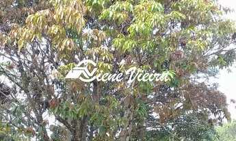 Imagem 3: TERRENO RESIDENCIAL em SANTA ISABEL - SP, CHACARAS CANADA