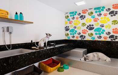 Imagem 7: APARTAMENTO RESIDENCIAL em VITÓRIA - ES, BARRO VERMELHO