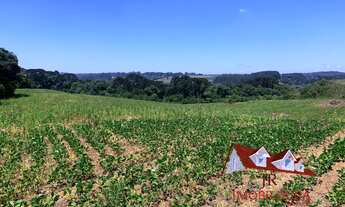 Imagem: AREA INDUSTRIAL em FAZENDA RIO GRANDE