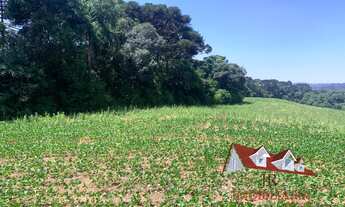 Imagem 2: AREA INDUSTRIAL em FAZENDA RIO GRANDE - PR, VENEZA