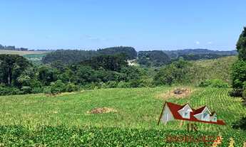 Imagem 7: AREA INDUSTRIAL em FAZENDA RIO GRANDE - PR, VENEZA