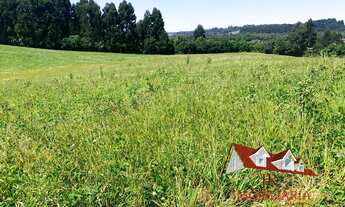 Imagem 5: AREA INDUSTRIAL em Fazenda Rio Grande - PR, Jardim veneza