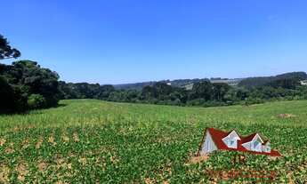 Imagem 6: AREA INDUSTRIAL em FAZENDA RIO GRANDE - PR, VENEZA