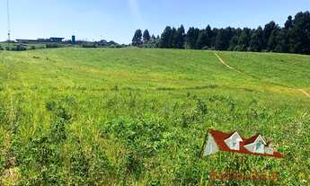 Imagem 3: AREA INDUSTRIAL em Fazenda Rio Grande - PR, Jardim veneza