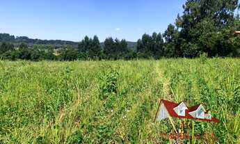 Imagem 6: AREA INDUSTRIAL em Fazenda Rio Grande - PR, Jardim veneza