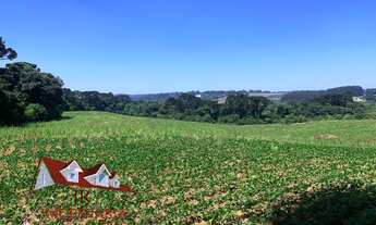 Imagem 3: AREA INDUSTRIAL em FAZENDA RIO GRANDE - PR, VENEZA