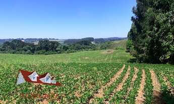 Imagem 4: AREA INDUSTRIAL em FAZENDA RIO GRANDE - PR, VENEZA