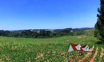 Imagem 5: AREA INDUSTRIAL em FAZENDA RIO GRANDE - PR, VENEZA