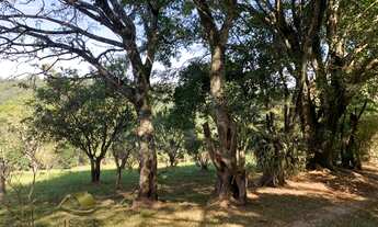 Imagem 5: Excelente! Sítio á venda em Atibaia/SP