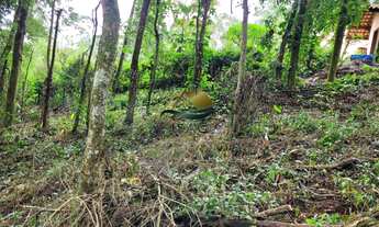 Imagem 2: Terreno em condomínio á venda no Portão Atibaia/SP