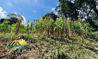 Imagem 6: Lindo Sítio com lagos e nascente Mairiporã-SP