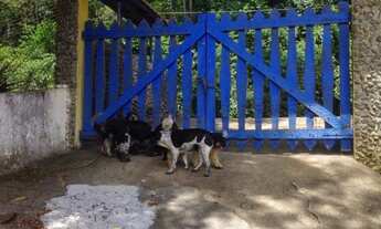 Imagem 4: Oportunidade!! sítio a venda em Mairiporã/SP