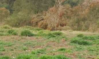 Imagem: Sítio á venda em Atibaia/SP