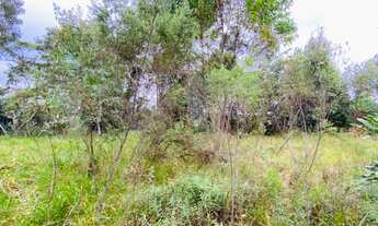 Imagem 7: 03 Ótimos terrenos à venda em Terra Preta - Mairiporã SP