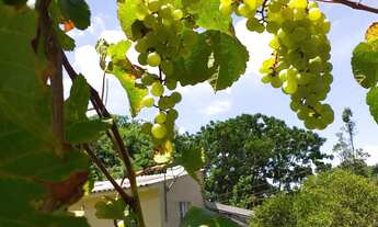 Imagem 6: Chácara 03 Dormitórios com 1.200,00mts² à venda em Mairiporã -SP!