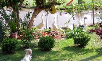 Imagem 4: Sítio com 17.500 mts² à venda em Nazaré Paulista SP