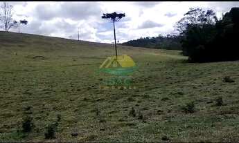 Imagem 5: Sítio 03 dormitórios à venda - 2,5 alqueires em Nazaré Paulista SP