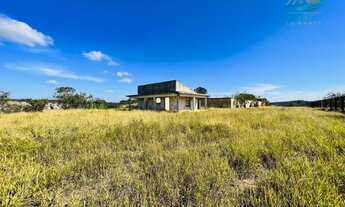 Imagem: Área industrial à venda em Terra Preta