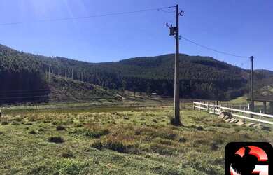 Imagem 2: FAZENDA RURAL em Itapeva - MG, Ferreiras